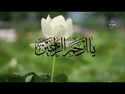 يا ارحم الراحمين السيد رضا نور الدين