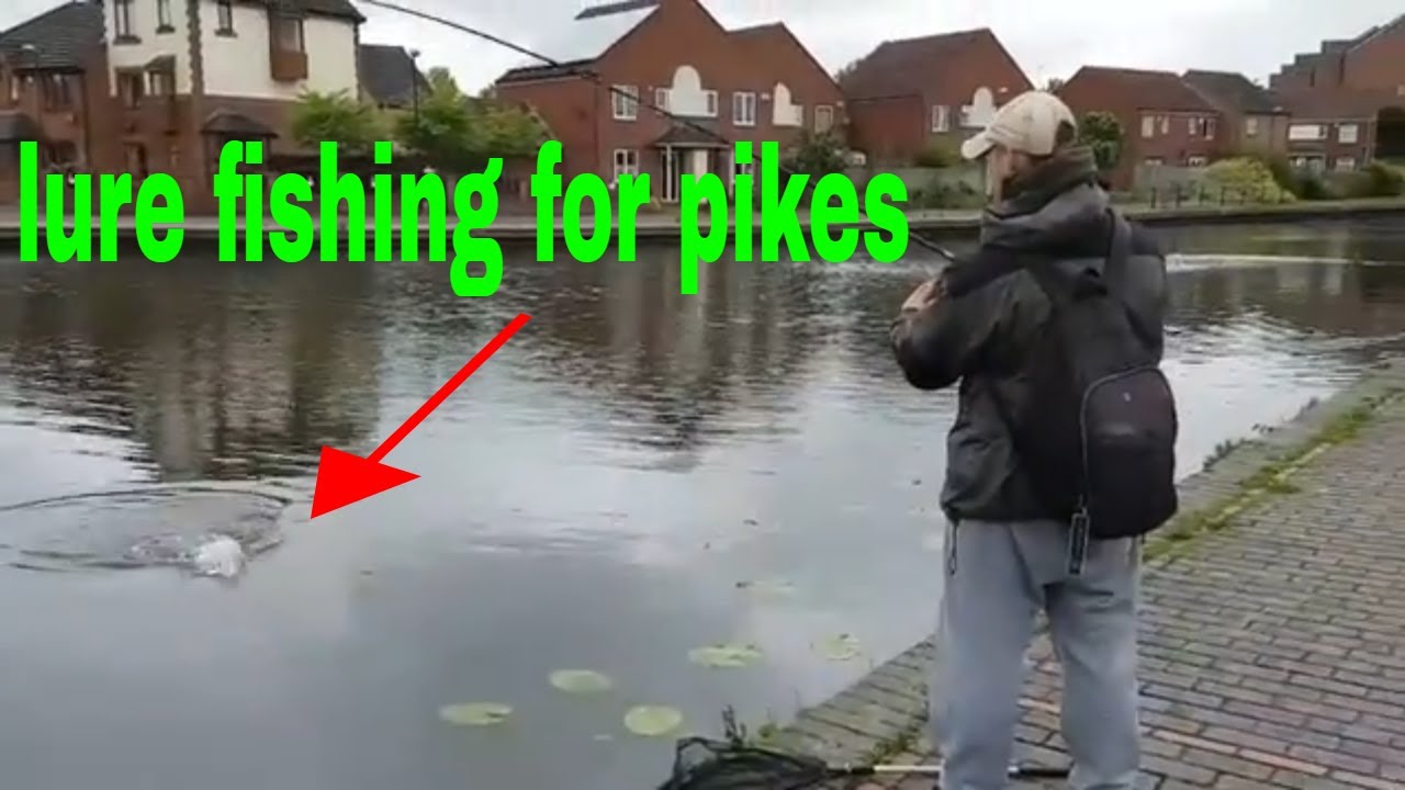 Lure pike fishing on the canal / pike fishing YouTube