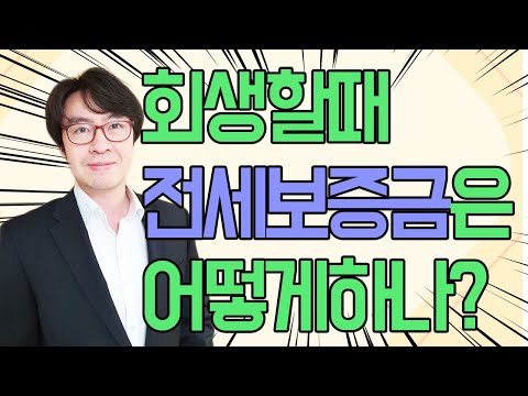 고양 개인회생