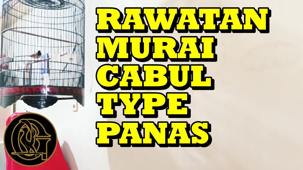 RAWATAN MURAI BATU TYPE PANAS DAN CABUL
