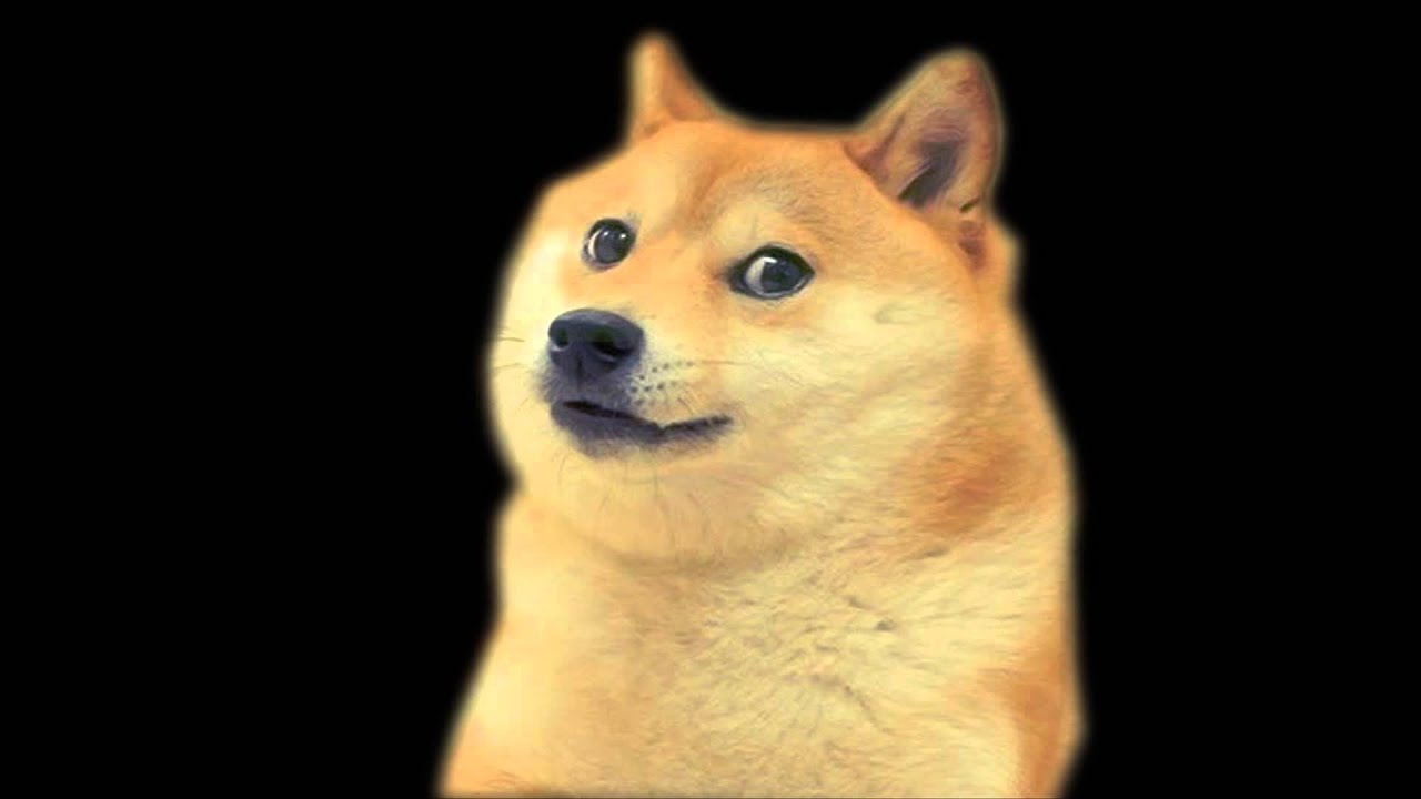 [Meme] DOGE - YouTube