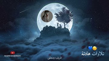 التلاوة التي ينتظرها الجميع   اسلام صبحي   عبدالرحمن مسعد   شريف مصطفى   تلاوة هادئة تريح الأعصاب 😴