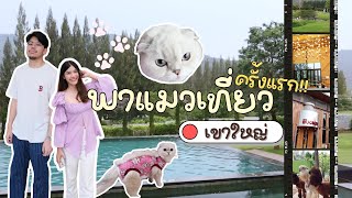 พาแมวเที่ยวเขาใหญ่ครั้งแรก✨ คาเฟ่ pet-friendly, khaam, the bucket โรงแรม Dusit D2 Khaoyai | ilyfaith