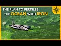 The Plan to Fertilize the Ocean With IRON