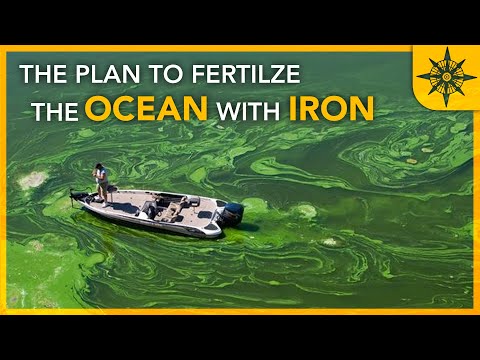 The Plan to Fertilize the Ocean With IRON