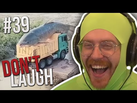 Ludwig should be canceled for this - Wubby Media Share #28