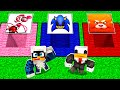 NON CADERE NEL BUCO SBAGLIATO DEI SUPERCATTIVI - MINECRAFT ITA