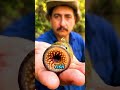 5 Of The Most Dangerous Animals On Earth