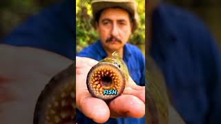 5 Of The Most Dangerous Animals On Earth