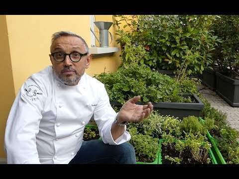 Video: Giardini di erbe aromatiche - Come creare un giardino di erbe commestibili