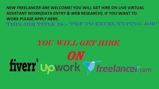 PDF to Excel typing Job