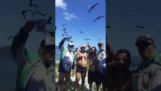 A turma na Ilha da Pombeba I