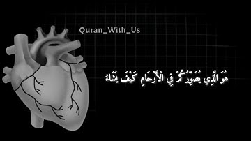 إن الله لا يخفى عليه شيء في الأرض ولا في السمآء/سورة آل عمران❤