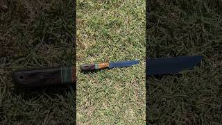 New bird and trout knife I made with segmented scales!
