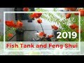 Best place to set up a Feng Shui fish tank in 2019