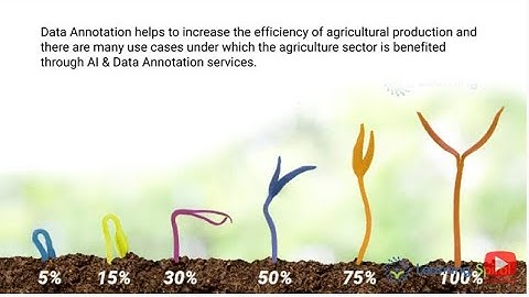 Data Annotation for Agriculture Sector