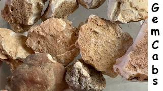 Handful of Arizona Gila Bend Mountains Area Nodules Cut Open to See What is Hiding Inside 05 24 26