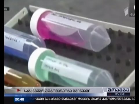 ებოლის მსხვერპლთა რიცხვი იზრდება - გვინეაში საგანგებო მდგომარეობა გამოცხადდა