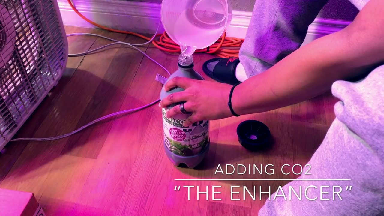 Adding CO2 Using “The Enhancer” By TNB Naturals YouTube