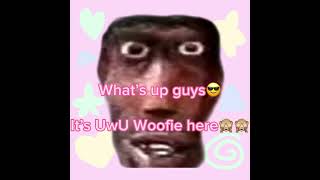Uwu W00Fies Introooo 3