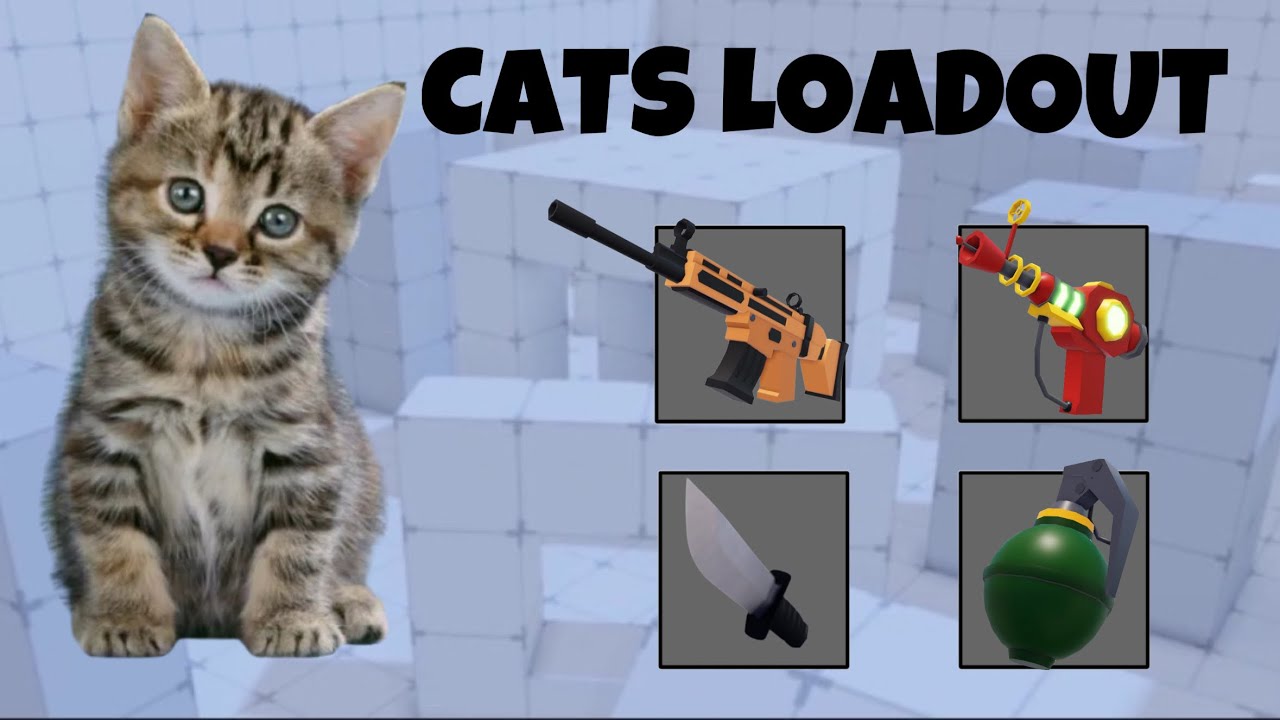 Realistic Rivals Cat Roblox Rivals, But My Cat Chooses My Loadout - YouTube