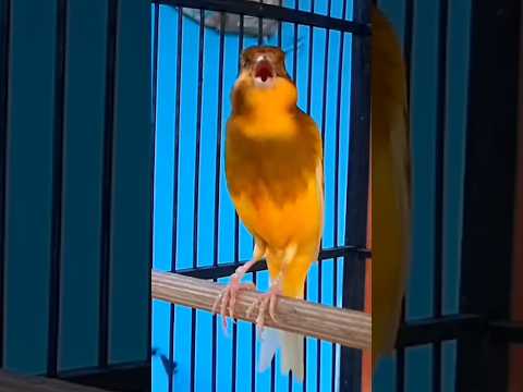 1 Januari 2026 MATERI MEWAHNYA KELUAR SEMUA.