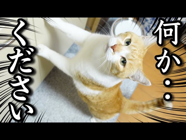 Valentine's Day: A Gift for Someone Special - YouTube