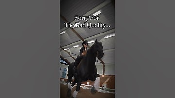 Sso Bad Quality Star Stable Edit🙁 / Sso Short / Sso Edit #sso #starstable #starstableonline #shorts