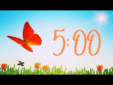 5 Minute Spring Timer