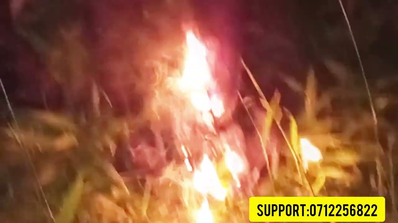 Мадам Регина сожгла алтарь синдиката, используя помазанное масло, спасла мальчика, посмотрите, чт...