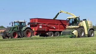 BX 700 Gras häckseln Fendt 939/2x 828-Krampe Big Body 900-2x Kröger Agroliner