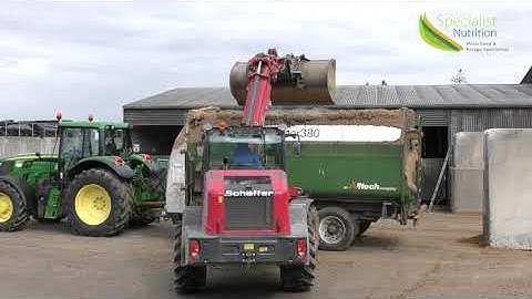 Autumn buffer feeding with Eornagold | Michael Cleary, Nutritionist