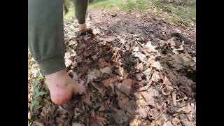 Barefoot Hiking | Flowers | Waterfall