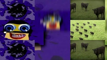 7 Shuric Scans with are slides (Kerry Wiser