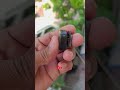 How to enable Noise Cancellation on Dji mic mini #djimicmini #noisecancelingmic #dji #budget mic
