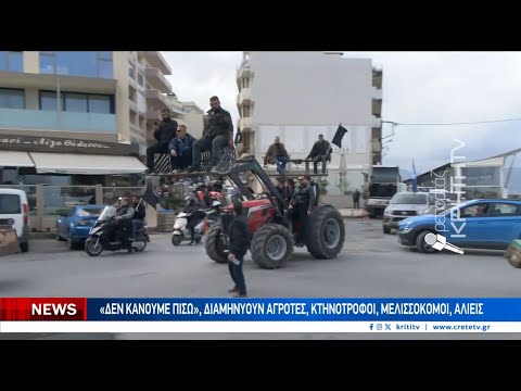 Μεγάλη συμμετοχή στο