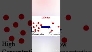 what is diffusion ||class-9||trending shortsshortvideo viral science