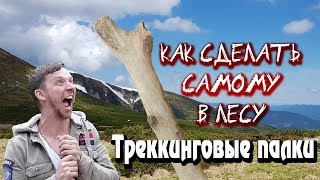 Как сделать деревянные треккинговые палки в лесу