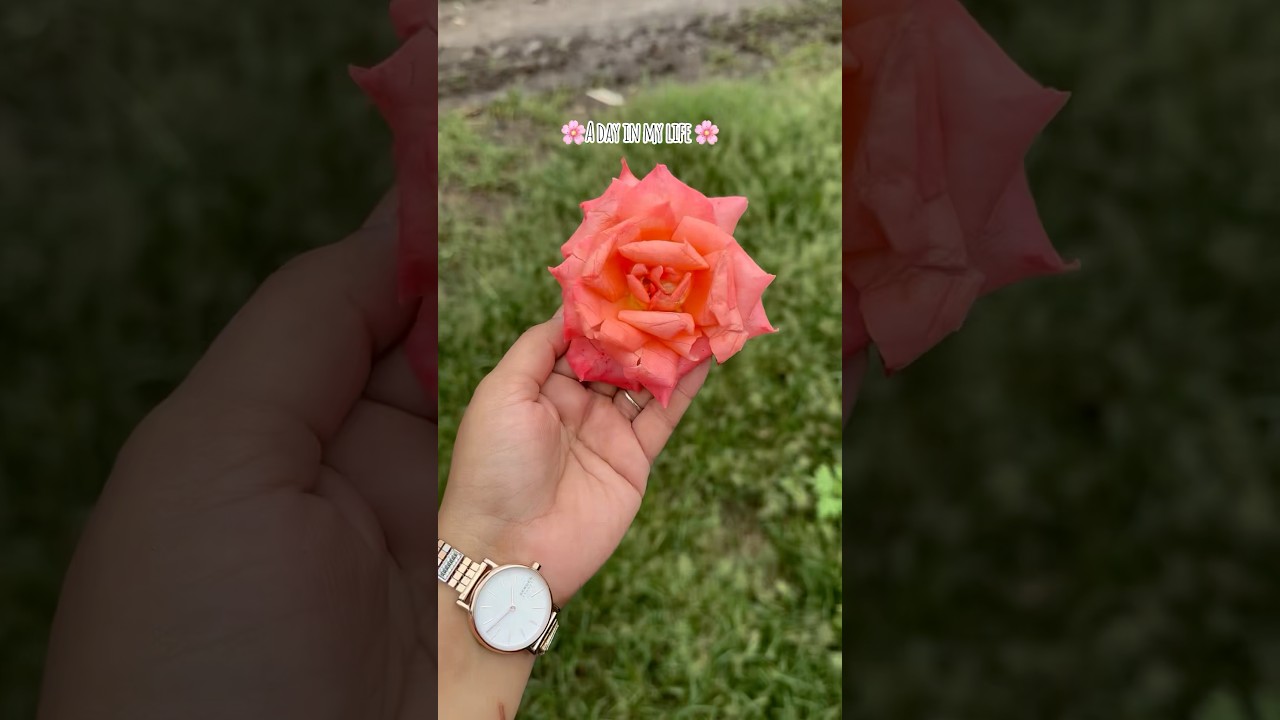 A day in life 🌸|| #shorts #youtubeshorts #ytshorts #adayinmylife #minivlog #dailyvlog #aesthetic