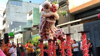 Best Acrobatic Lion dance 2025 by Hang Anh | Opening at the villa in the small alley