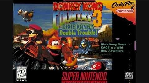 Donkey Kong Country 3 Dixie