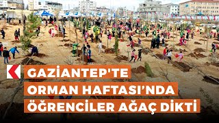 Gaziantep Te Orman Haftası Nda Öğrenciler Ağaç Dikti