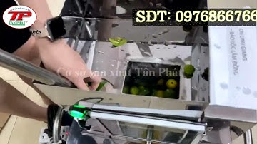 Giá máy ép chanh tắc giá rẻ, máy ép tắc không bể hạt và không đắng