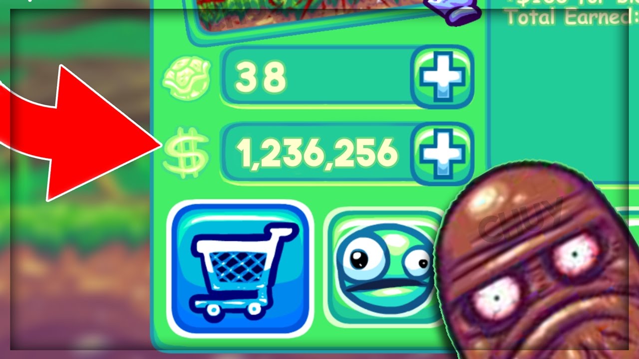 How To Get Cash FAST In Super Toss The Turtle YouTube how-to-get-cash-fast-in-super-toss-the-turtle-youtube