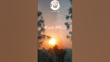 #اكسبلور #راحة_نفسية (القران الكريم)الشيخ خالد الجليل (بسم الله الرحمن الرحيم)