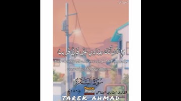 حالات واتس قرانيه سوره البقره للقارئ الشيخ مشاري العفاسي