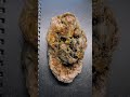 Cut Open This Ugly Rock and Found Brecciated Jasper Inside