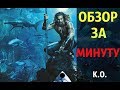 Дружелюбный сосед Аквамен. Обзор за минуту