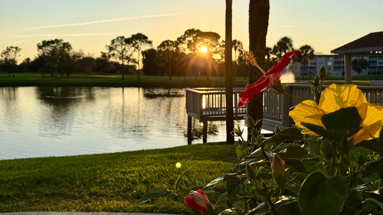 Musings from the Mat ~ Day 4/100