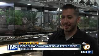Celebrity Baby python caught on video being stolen is recovered Net Worth